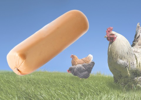 Piliç Jambon